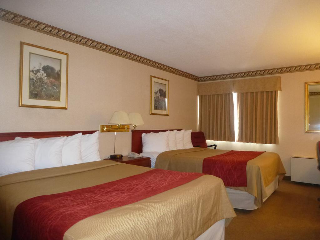 Comfort Inn Meadowvale Mississauga Rum bild